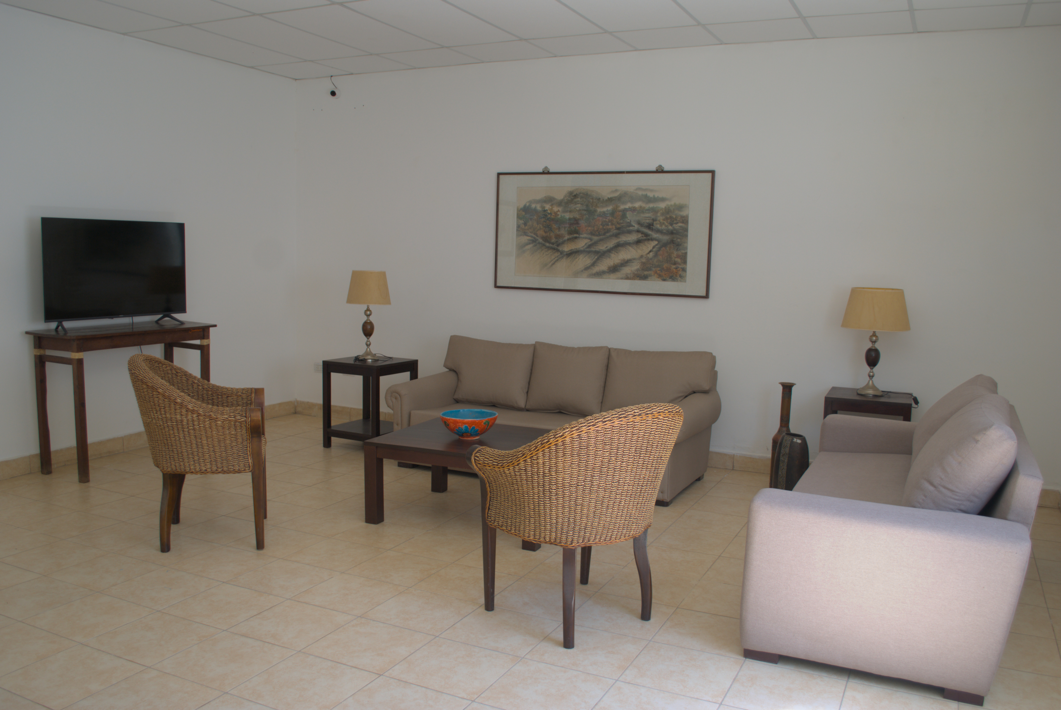 Espacios comunes. Living y sala de estar